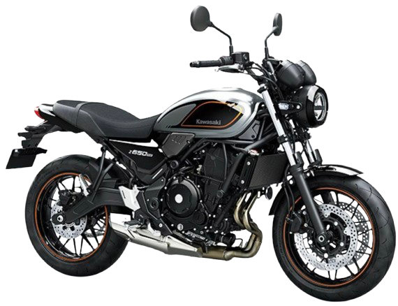 Z650RS【ER650M型 2022~23年】|2022年式 メタリックムーンダストグレー/エボニー