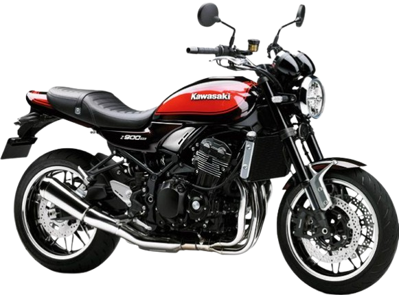 【2019年式】 Z900RS