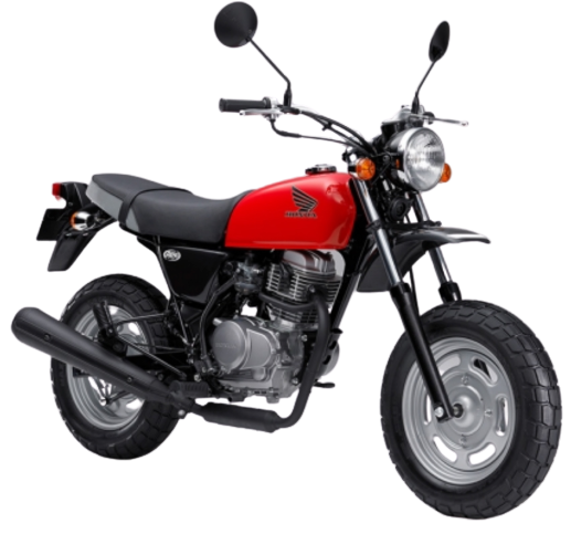 【2009年式】 エイプ100 (Ape)