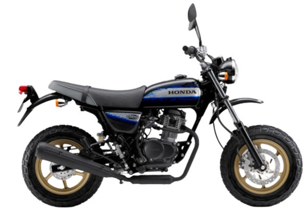 エイプ100タイプD【HC13｜2009年式】