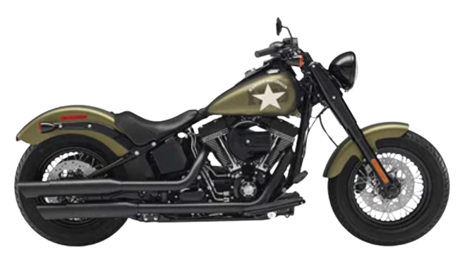 FLSS ソフテイルスリムS 【2016～17年式｜TC110】