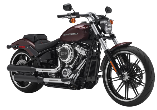 FXBR ブレイクアウト 【2018～19年式｜M8 107】