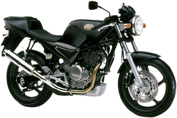 グース250 (GOOSE)【1992年式】