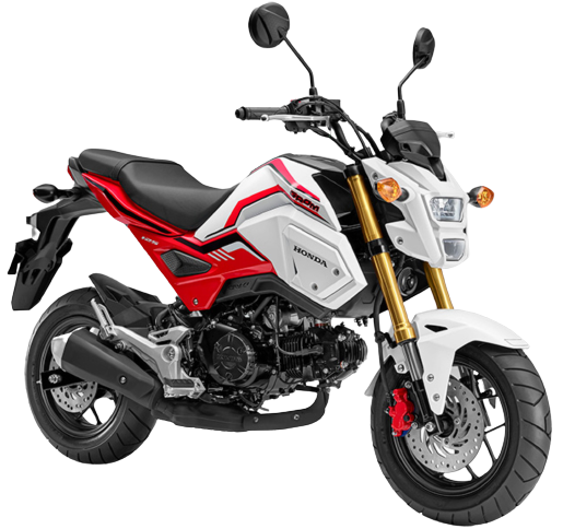 グロム(GROM)【2013～現行】