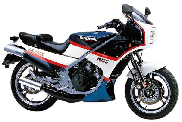 KR250S【1985年式 A2】