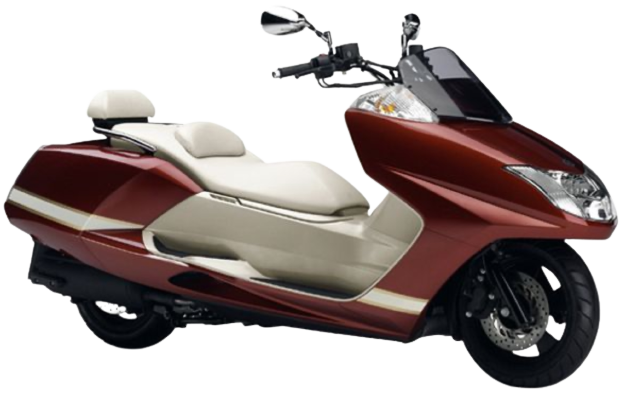 【2012年式】 マグザム(MAXAM)