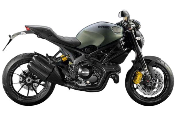 【2013年式】モンスターディーゼル (1100EVO)