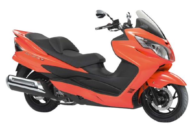 【2009年式】スカイウェイブ250タイプM