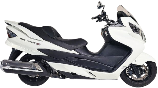 【2009年式】 スカイウェイブ250タイプS