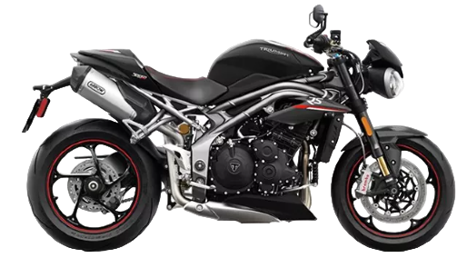 【2019年式】スピードトリプルRS