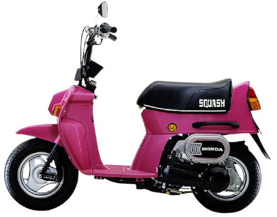 スカッシュ ｜SQUASH【1981年】