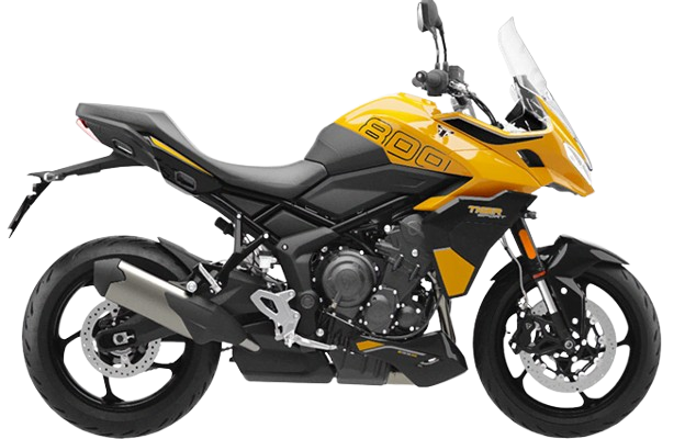 タイガースポーツ800【2025～現行】