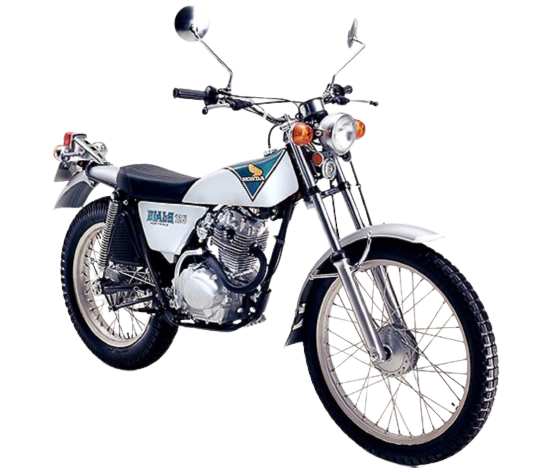 【1975年式】バイアルスTL125
