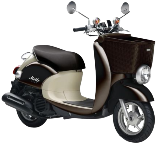 【2011年式】ビーノモルフェ