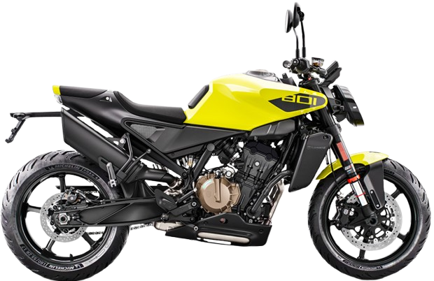 ヴィットピレン801【2025～現行】