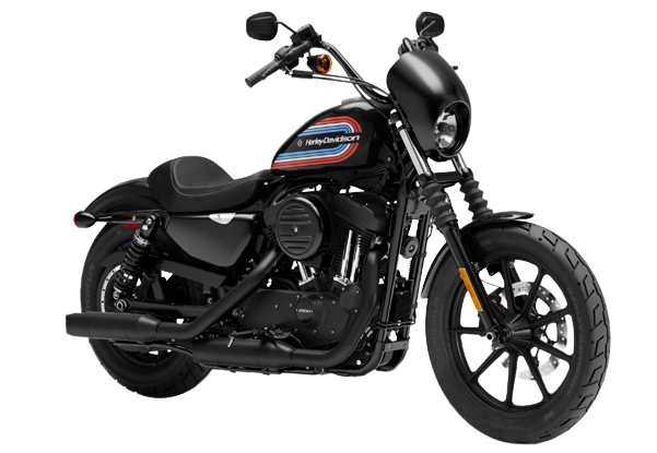 XL1200NS アイアン【2018～21年式】