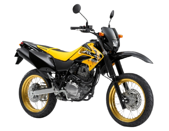 【2009年式】XR230モタード