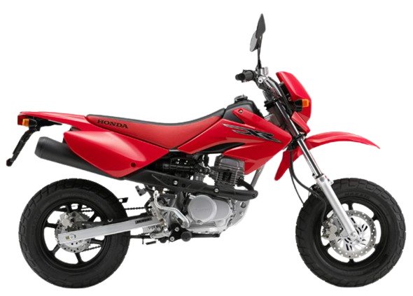 【2007年式】XR50モタード
