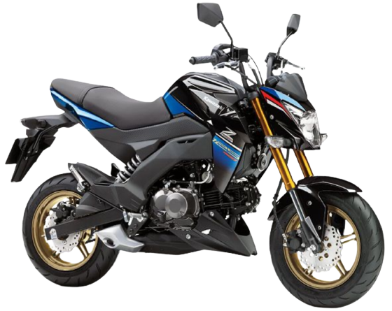 【2017年式】 Z125プロ(PRO)