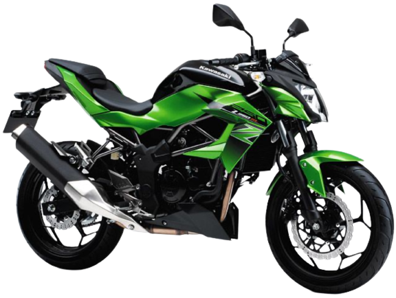 【2016年式】Z250SL